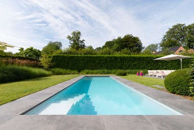 Aménagement de piscines et plans d'eau